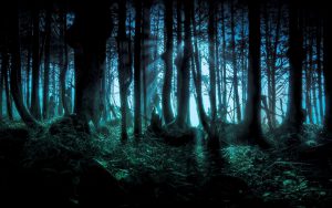 glendalehalloween : happy halloween wallpaper scary forest trees