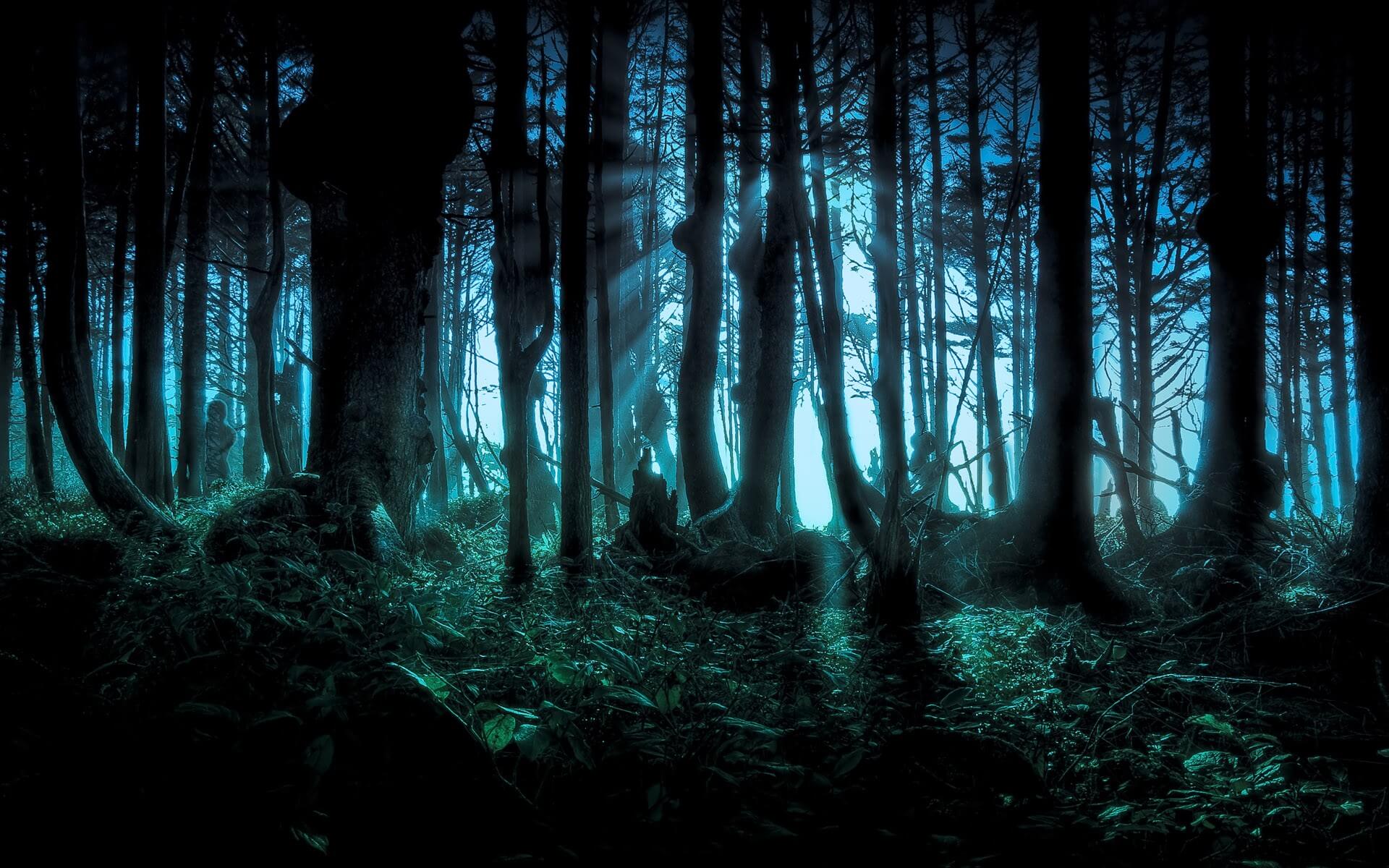 Happy Halloween Wallpaper Scary Forest Trees